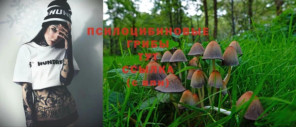 СК Нефтегорск