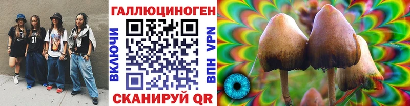 Псилоцибиновые грибы Psilocybe Семикаракорск